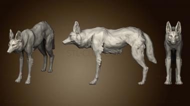 3D мадэль Гривастый волк 2 2 (STL)