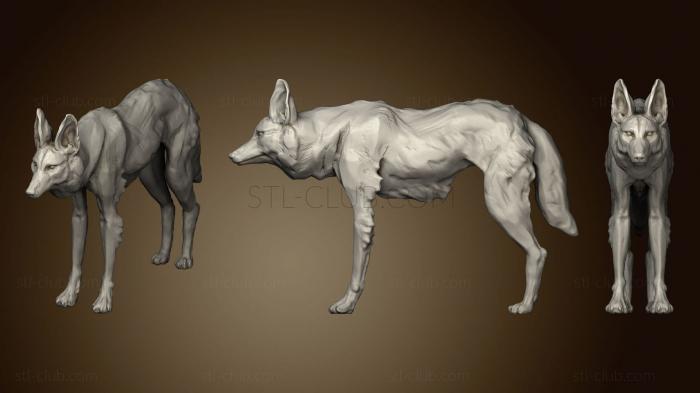 3D model Maned Wolf 173 (STL)