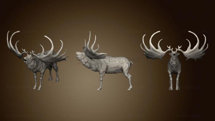 Megaloceros 2