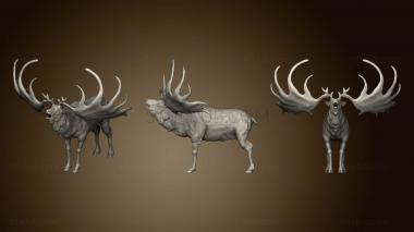 3D model Megaloceros (STL)