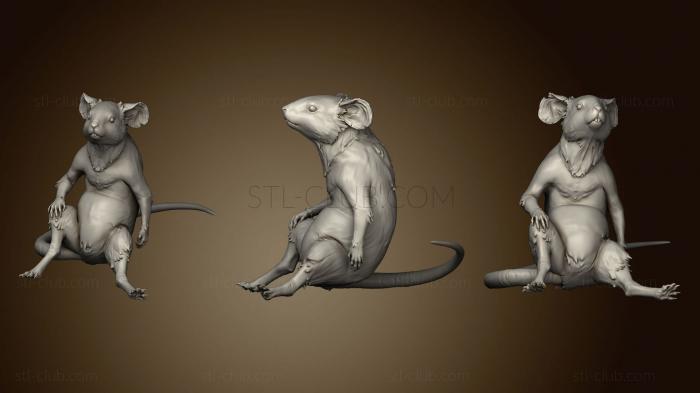 3D мадэль Поддержка положения мыши (STL)