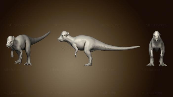 Pachycephalosaurus 10