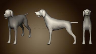 3D модель Собака - пойнтер (STL)