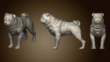 3D model Pug 2 2 (2) (STL)