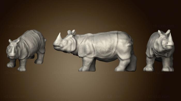 Rhinoceros