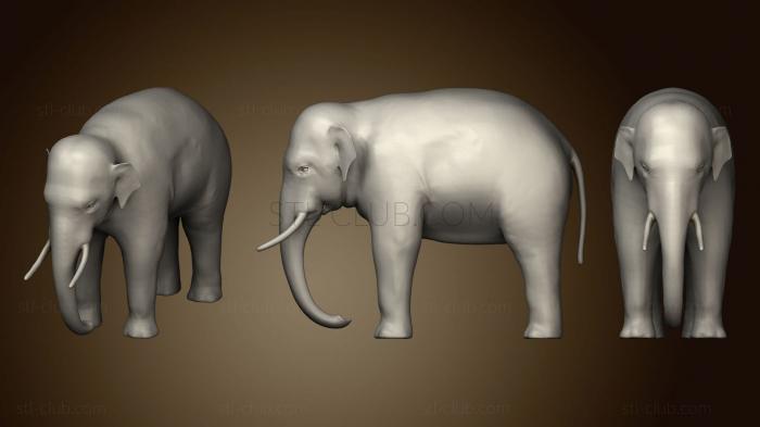 3D model Riged Asian Elephant (STL)