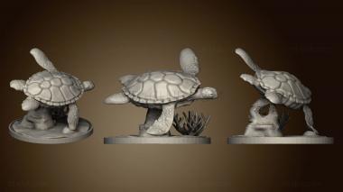 3D model Sea Turtle (STL)