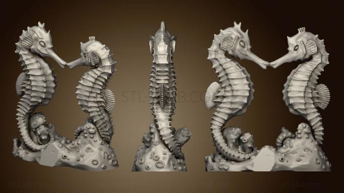 Seahorse Animal