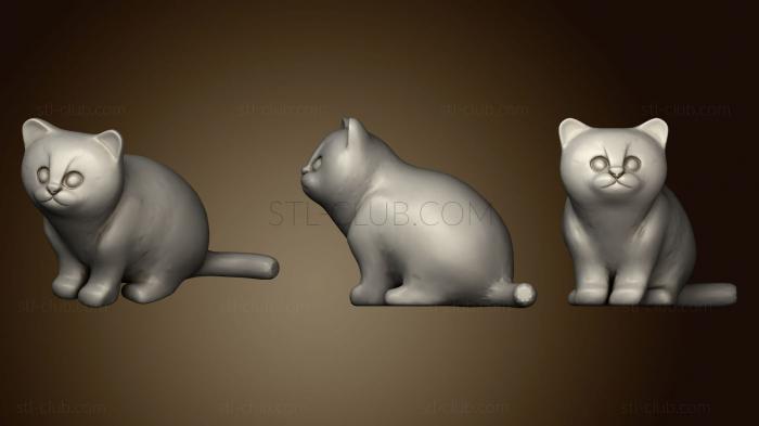 3D мадэль Сидящий котенок (STL)