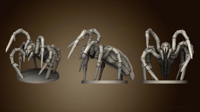 Sword spider