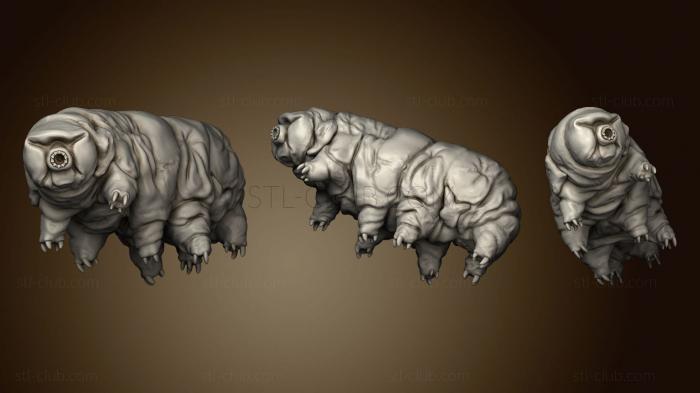 Tardigrade textured