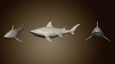 3D model Tiger Shark 2 2 (STL)