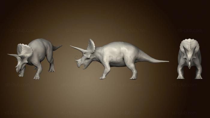 Triceratops