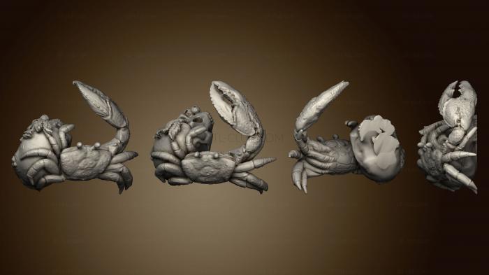 3D model bushido Jung Pirates Crabs of the Eastern Sea 3 (STL)