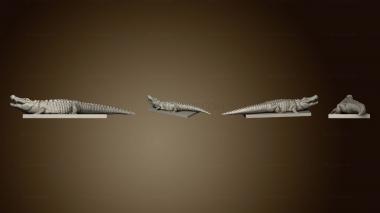 3D мадэль Крокодил Закончен (STL)