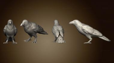 3D model Crow v 3 (STL)