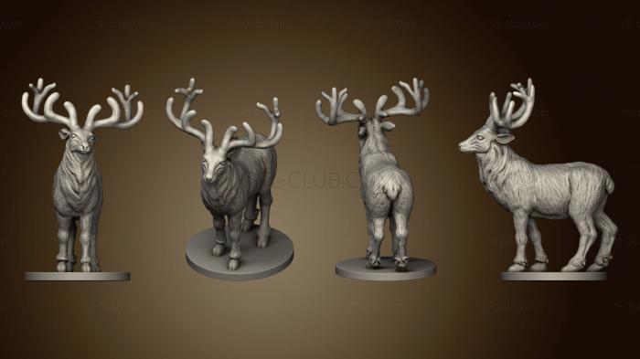 3D model Deer Finished (STL)