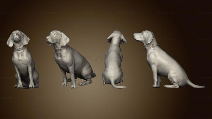 3D model dog 04 (STL)