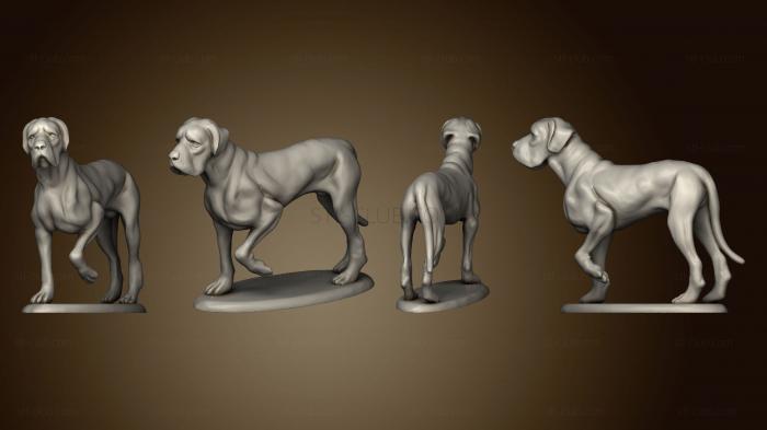 3D model dog (STL)