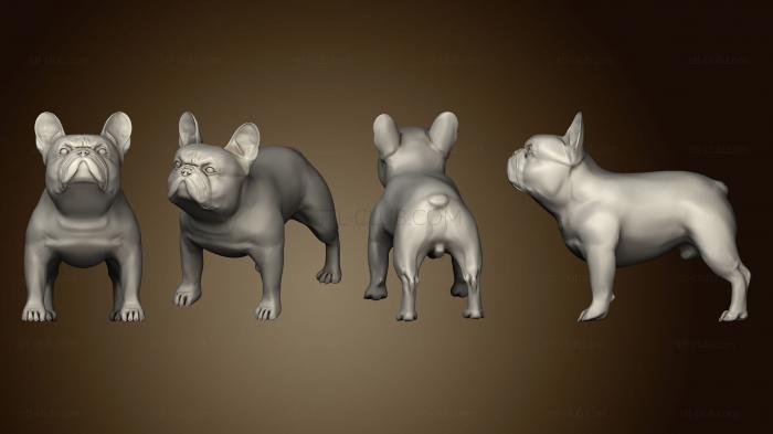 3D model french bulldog (STL)