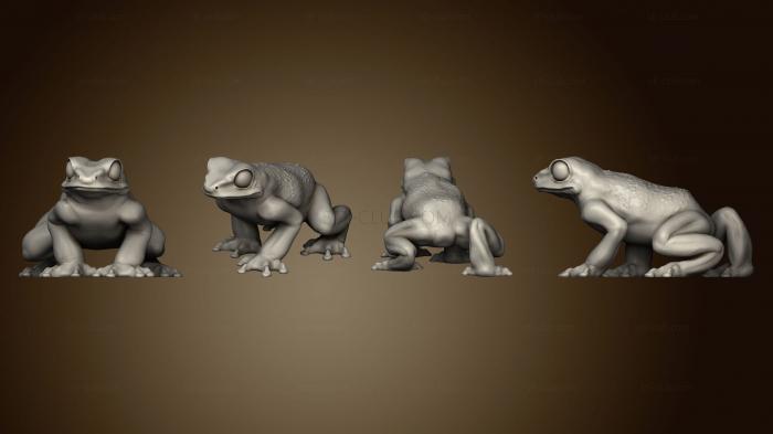 3D model Frog (STL)