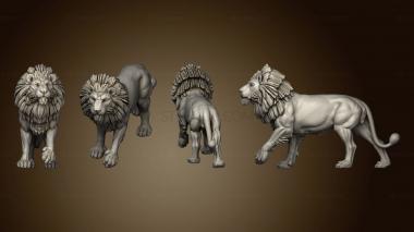 3D model Lion male (STL)