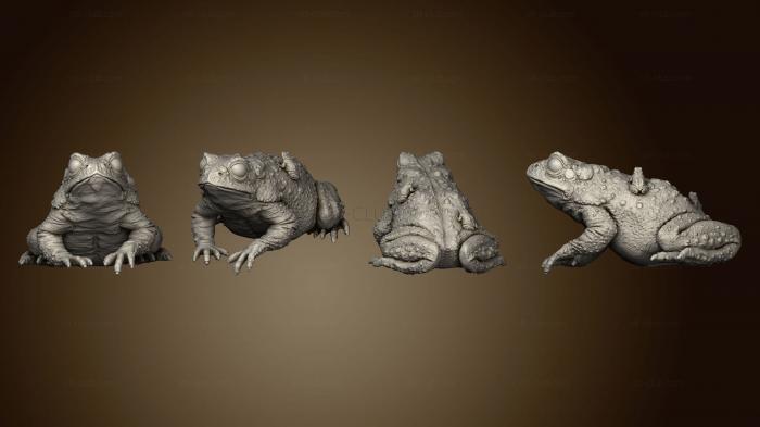 3D модель База mother of froggles 001 (STL)
