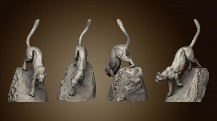 3D model Mountain lion (STL)