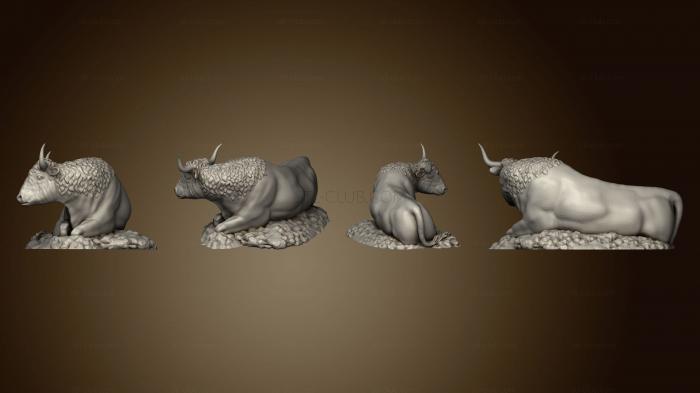 3D model Oxen 1 v 0 (STL)