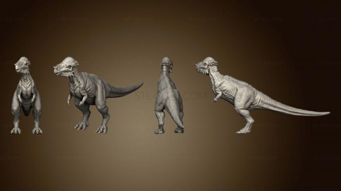 3D model Pachycephalosaurids Pose 1 (STL)