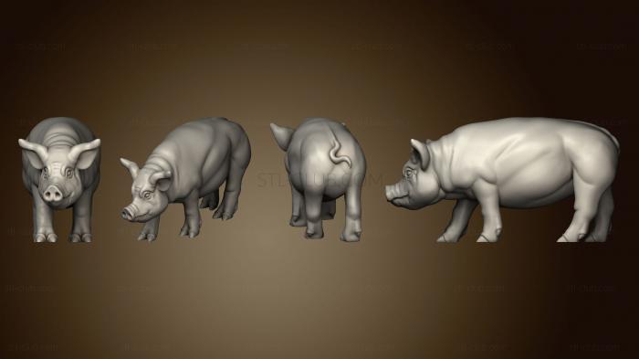 3D model PIG 2 (STL)