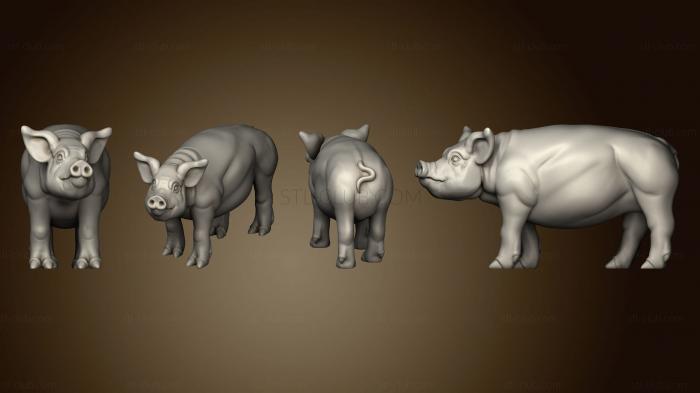 3D model PIG 3 (STL)