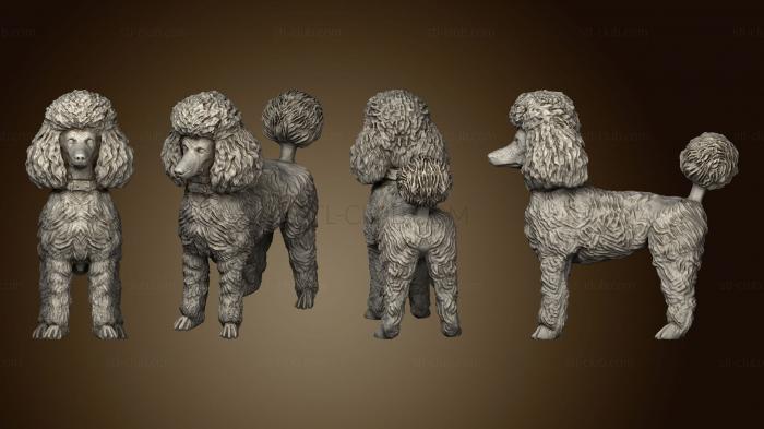 3D model poodle 02 (STL)