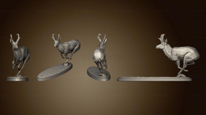 3D model Pronghorn Chase 2 (STL)