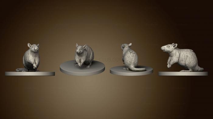 3D model Rat Finished (STL)