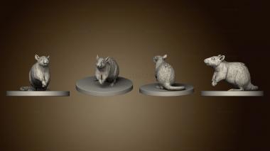 3D model Rat Finished (STL)