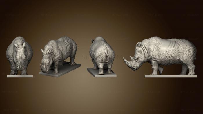 3D model Rhino Finished (STL)