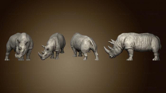 3D модель Носорог Большой (STL)