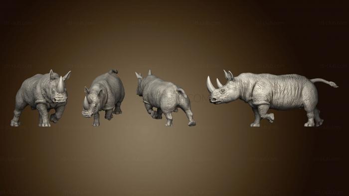 3D модель Крупный Ходящий Носорог (STL)