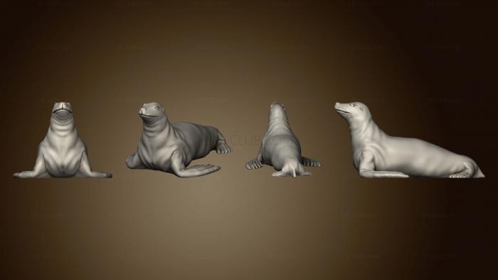 3D model Seal A Based 003 (STL)