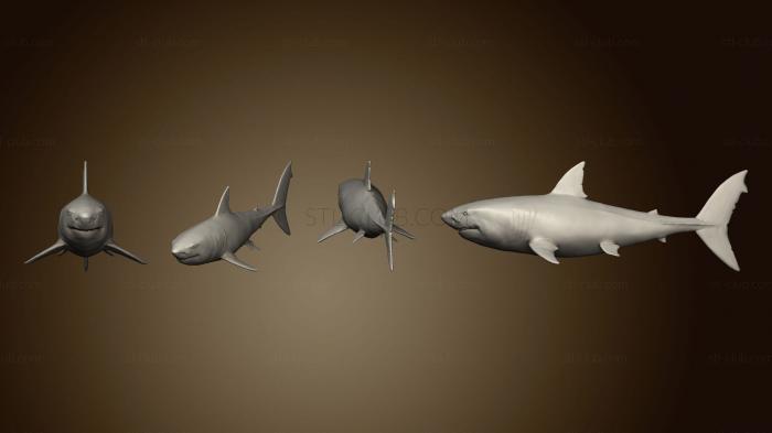 3D model shark v 3 (STL)