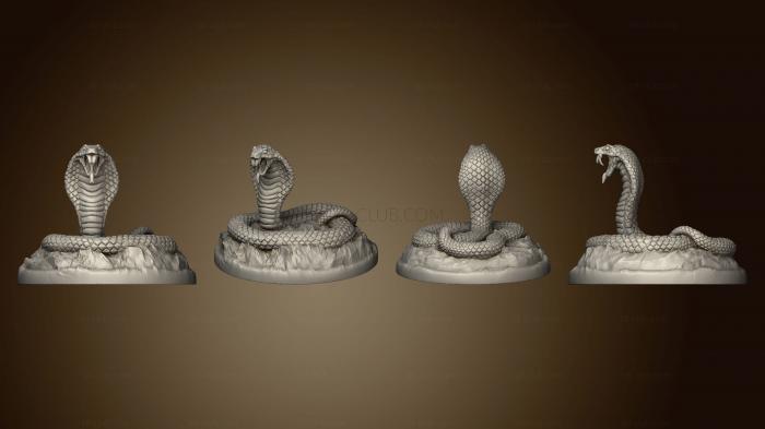 3D мадэль Змея Закончила (STL)