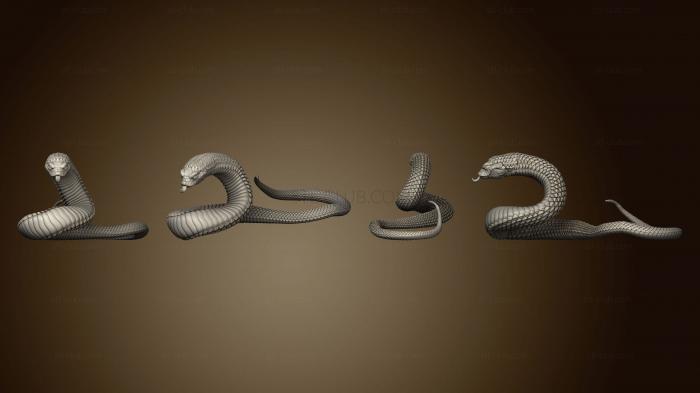 3D model Snakes 1 (STL)