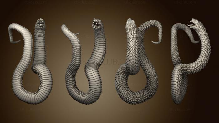 3D мадэль Змеи 2 (STL)