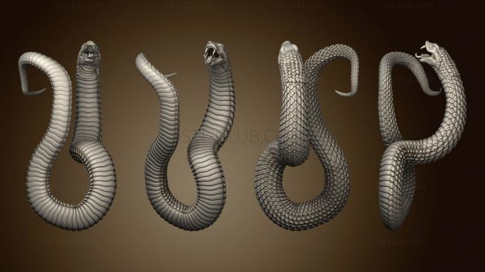 3D model Snakes 2 (STL)