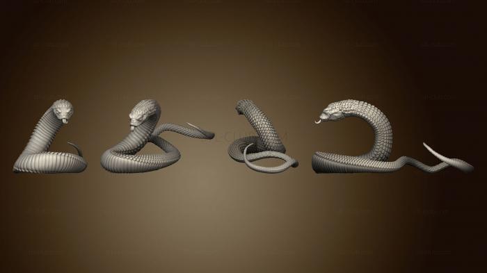 Snakes 3