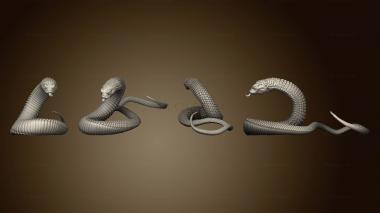 3D model Snakes 3 (STL)