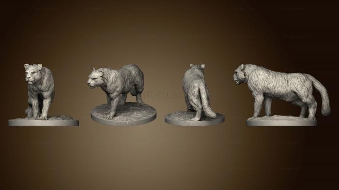 3D model Snow Leopard Finished (STL)