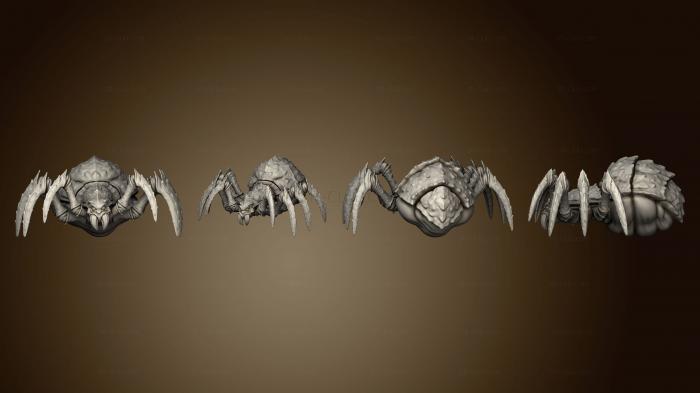3D мадэль Жук-паук (STL)