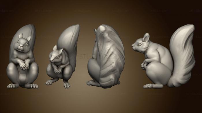 3D model Squirrel 3 (STL)
